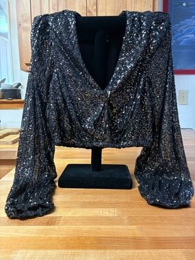 Lulu's Black Sequin V-Neck Cropped Top Long-Sleeve, Large